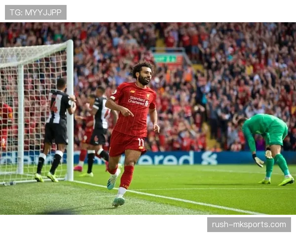 塔利亚菲科：欧冠历练铸就信心，助力球队迈向新高峰