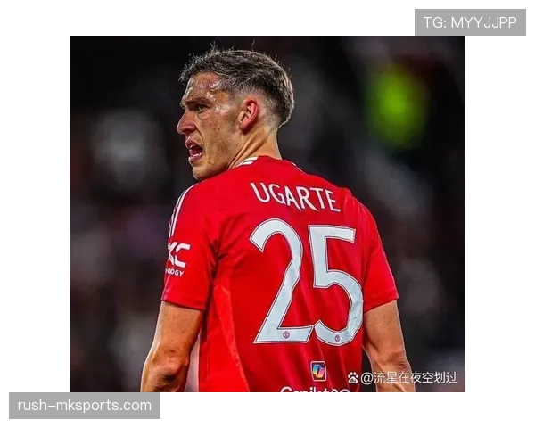 布莱顿反击效率飙升，联赛表现亮眼强势崛起